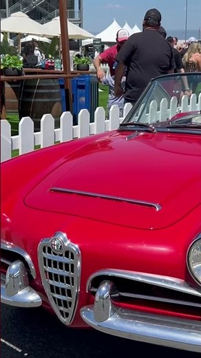 1964 Alfa Romeo Giulia Veloce Spider | Alfa Romeo |spider