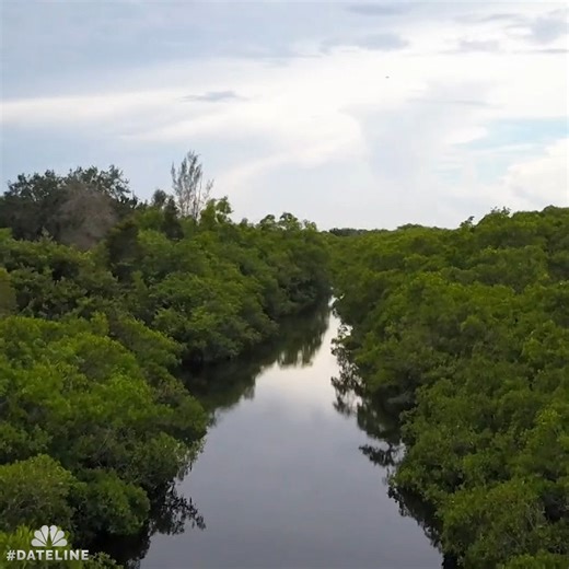 32K views · 287 reactions | Tonight on a Dateline Weekend Mystery at 9/8c… | Dateline NBC | Facebook