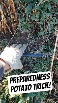 Prepper POTATO TRICK #survivaltips #preppers #survivalist #prepper #preparedness #shtfsurvival #SHTF
