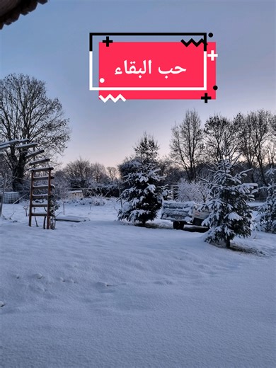 le poisson rouge, un être robuste. la nature nous étonnera toujours #amour #joie #nature #neige