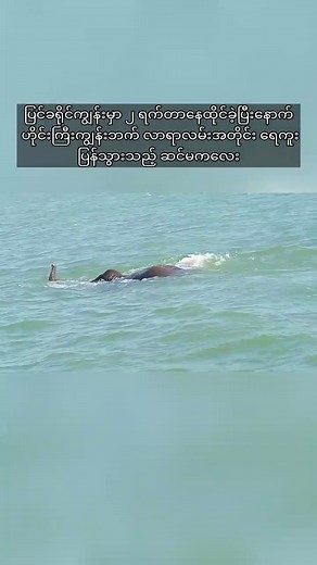 487K views · 13K reactions | ပြင်ခရိုင်ကျွန်းမှာ ၂...