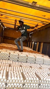 Amazing 👌 | Bright Facts