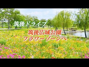 【筑後ドライブ】筑後広域公園のフラワーゾーンへ行ってみた