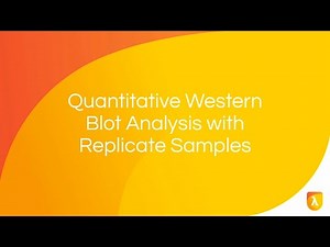 Calculating Fold Change | Quantitative Western Blot Analysis with Replicate Samples