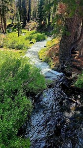 Lassen Volcanic National Park | Nature Heals the Soul