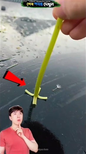 Amazing Dandelion Trick#contentcreator#spiritualvibes