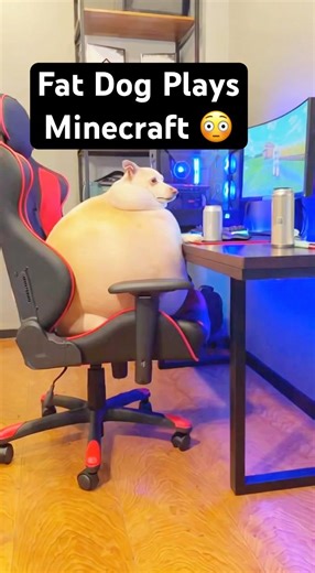 Fat Dog Plays Minecraft #funnydogs #viralshorts #minecraftgaming #petcomedy