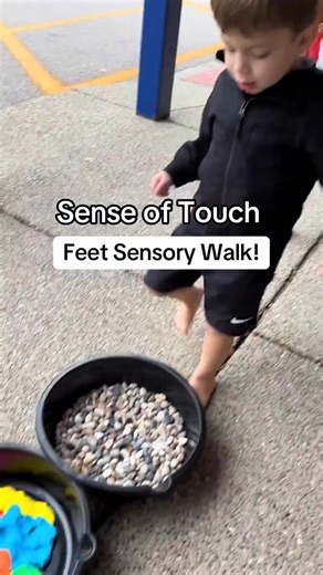 1.3M views · 9K reactions | Teaching the Five Senses—with our feet! ✨ Instead of using our hands to explore touch, we use our feet. I fill bins with different sensory materials, and students take off their shoes and socks to walk through each one. At the end, they step into a bin of soapy water, dry their feet, and practice independent skills by putting their shoes and socks back on by themselves. Such a fun, hands-on (or feet-on!) sensory activity! | Preschool Vibes | Facebook