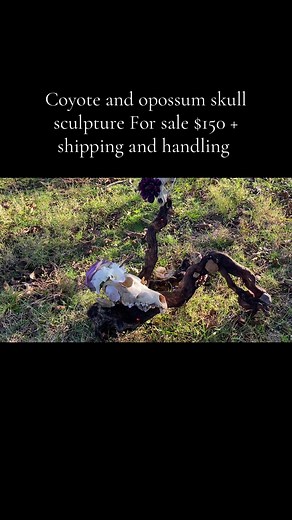 Handcrafted from a naturally treated red cedar root found along the Black River, this one-of-a-kind piece blends the power of nature and spirit. Featuring a coyote skull and opossum skull, arrowheads, crystals, geodes, and owl & duck feathers, it represents transformation, protection, and renewal. Accented with deep purple and white blooms, this piece is perfect for a sacred space! #fyp