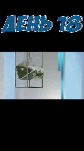 Реклама Calgon - День 18