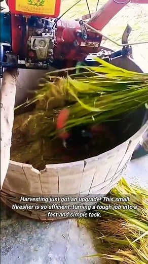 Portable Small Rice Threshing Machine.