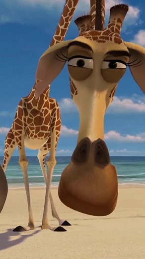 San Diego #madagascar #sandiego #melman #giraffe #california #oakland #la #losangeles #kingjulien #alexthelion