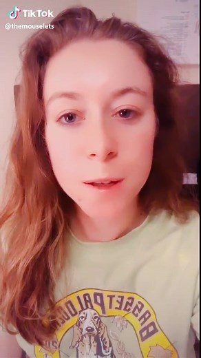 Exploring Walt Disney World on Google Maps