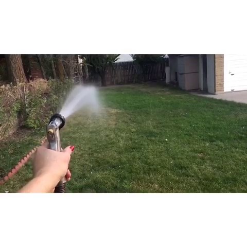 Dog's Hilarious Water Play: Jumping and Biting Hose Stream