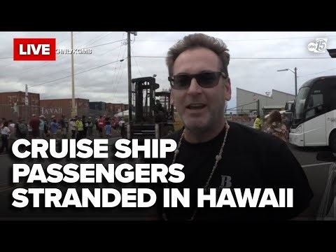 Cruise Passengers Left Behind and ‘Terrified’ as Ship Departs amid Tsunami in Hawaii: ‘It's Chaos’