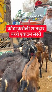 168K views · 3.9K reactions | #GoatFarming #BakraFarming #GoatFarmLife #GoatLovers #BakraPalna #BakraBusiness #BakraFarmingIndia #BakraMandi #BakraBazaar #BakraPalak | Farming baba | Facebook