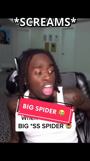 Reacting to a Terrifying Encounter with a Giant Spider