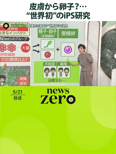 身体のあらゆる#細胞に変化する能力があるiPS細胞を使った研究で、世界初の成果が発表されました。京都大学教授らのグループが、精子や卵子になる手前の細胞を大量に作ることに成功。不妊や生命誕生の謎解明などが期待されますが、将来的な懸念もあります。#日テレnews#tiktokでニュース