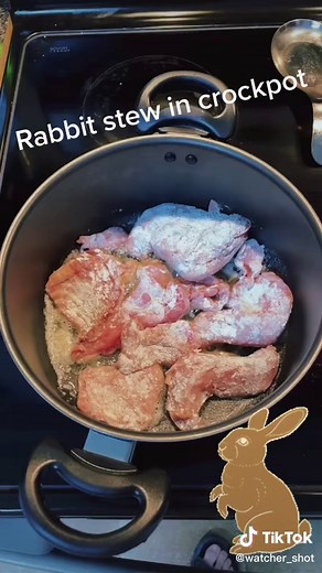 watcher_shot on TikTok