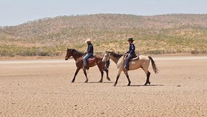 Mystery Road