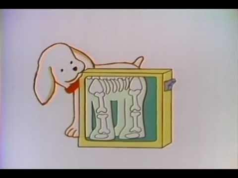 Purina Puppy Chow Commercial (1980s) | Featuring Sterling Holloway’s Wholesome Voice