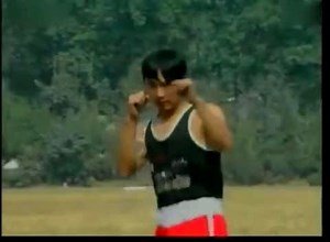 散打教学视频散打教学VCD 实战腿法组合_标清