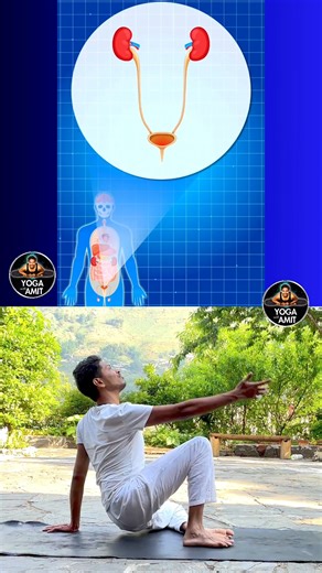 951K views · 6.6K reactions | Yoga for Bladder Troubles (follow the full video for lasting effects in comments) #BladderHealth #OveractiveBladder #BladderCare #BladderRelief #UrinaryHealth #BladderSupport | Yoga Amit | Facebook