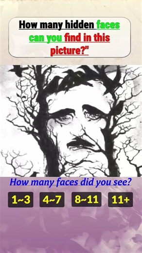 Only Sharp Eyes can spot the how many hidden faces in this picture,