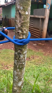 strong pole knot 🔥 #diy #knotlessbraids #climbing #outdoor #tutorial | Egi Knot