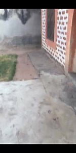 young man fresh guy��. every time nyaregh Kela Kuma kwagh ga so that person no go task am hahahahaha | Nyikyaa Hembadoon Rosemary