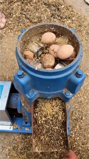 Machine processes various materials into uniform pellets. #lifehacks #machine #technology #frame