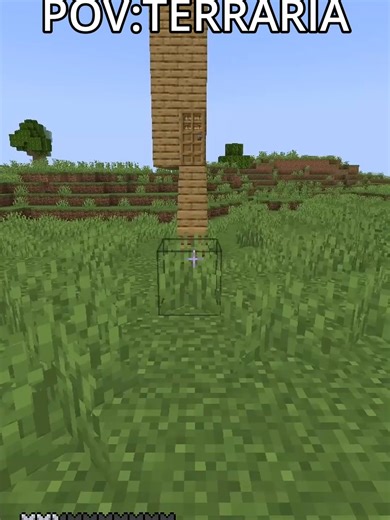 pov: terraria #minecraft #server #edit #dc #fyppp #wybijsie