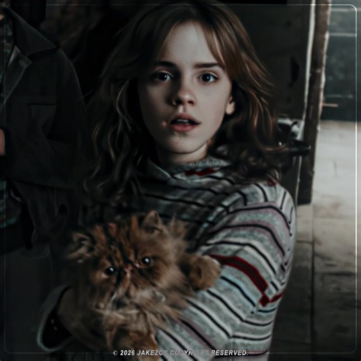 Creative Hermione Granger Style Edit