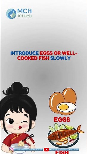 Menstrual Cycle Explained: The Simple 28-Day Truth