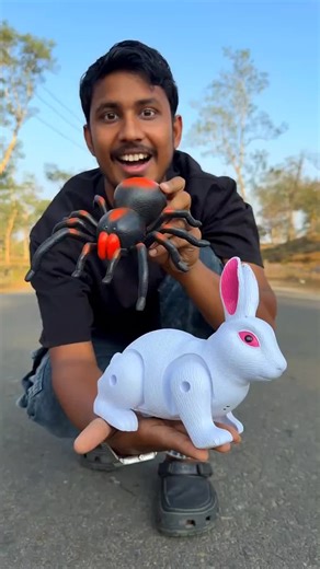 Epic Unboxing: White Rabbit vs. RC Spider Toys