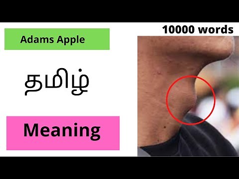 Adam'sapple in tamll, Adams apple meaning in tamil,what is mean by Adams apple in tamil.adam's apple