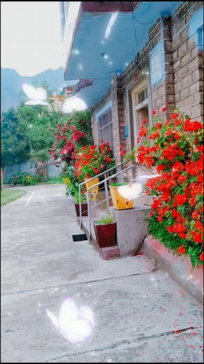 #foryoupage #tiktok #foryou #tiktokindia #tik_tok_india #trend #🇮🇳❤️❤️🙏❤️❤️🙏🙏🙏🙏 #उत्तराखंडी