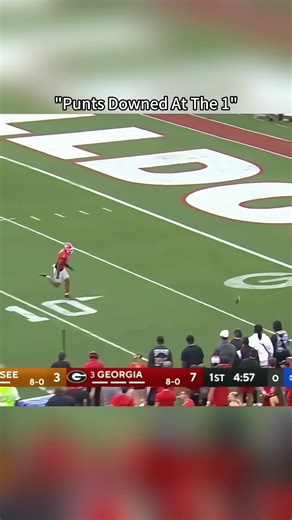 Impressive Punts Downed Inside the 1-Yard Line in NFL