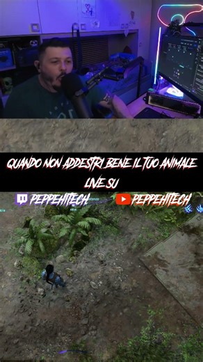 when you don't train your pet well
