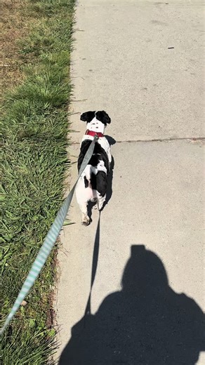 R U B I (@__rubaaay)’s videos with original sound - R U B I