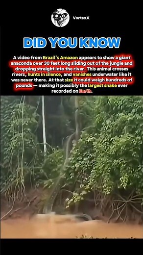 The Biggest Snake On Earth Was Just Caught On Camera #7x7