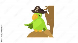 Pirate parrot icon animation best cartoon object on white background