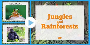 Jungle and Rainforest Photo PowerPoint