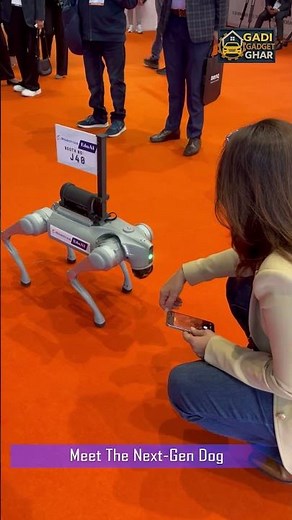 Coolest Dancing Robo Dog Ever? Meet the Next-Gen AI Pup!