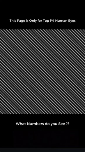 Little_____boy | 99% fail (DAY-12) . . . . . . . . . The Hong Kong-Zhuhai-Macau Bridge is 55 kilometers long. The world’s longest sea crossing. You drive... | Instagram