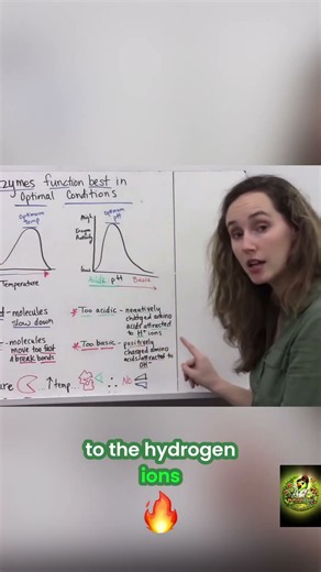 Enzyme pH Explained: Why Acidity Changes How Enzymes Work #shorts