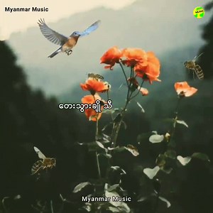 156K views · 10K reactions | # ဝတ်မှုန်  - ခင်မောင်တိုး  - A to Z // ❤️ Lyrics By - Myanmar Music ❤️ | Myanmar Music | Facebook