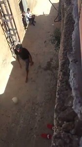 Relax: Riyad Mahrez en vacances dans son village à Beni Snous. | Algerie360.com
