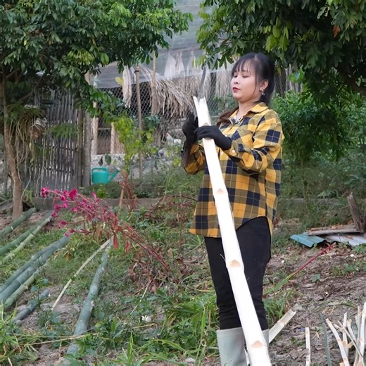 How to build a bamboo gourd trellis for your climbing gourd garden. | Kayden Valencia