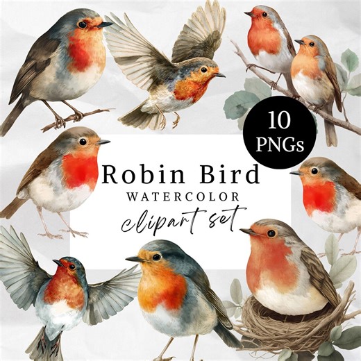 Robin Bird Clipart PNG, Watercolor Robin Illustration, Cottagecore Bird Clipart, Realistic Garden Bird PNG, Robin Digital, Wildlife, Nature - Etsy